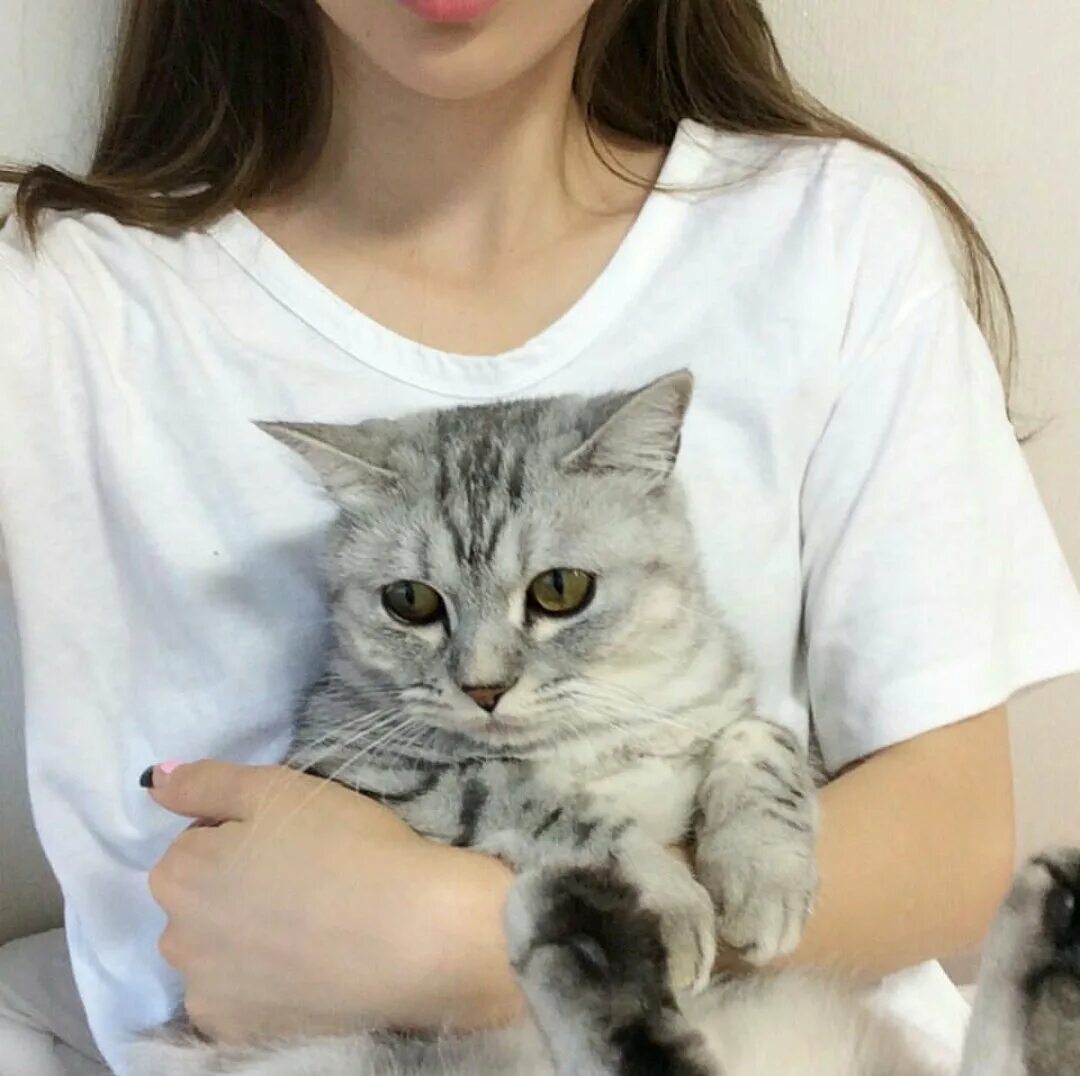 Ктом. Девушка с котиком. Девушка с котом без лица. Красивая девушка с котом. Девушка с котом на руках.