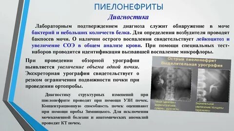 Инструментальная диагностика пиелонефрита