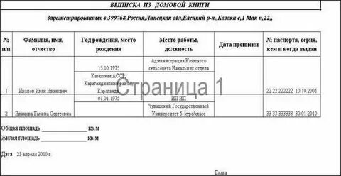 Сколько времени делается домовая книга