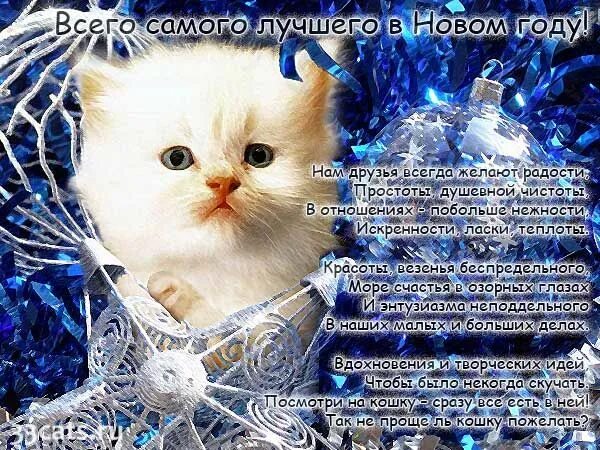 Старый новый кот. Поздравления с новым годом с кошками. кошачьи пожелания на новый год. поздравления со старым новым годом кошки. пожелания на новый год про кошку.