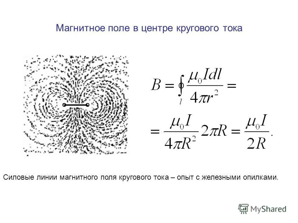 3 магнитное поле кругового тока