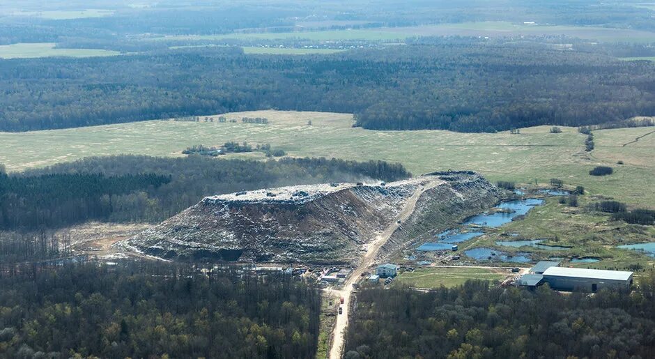 полигон малинки