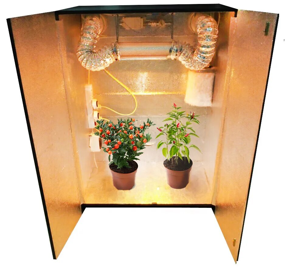 Самодельный гроубокс. Стелс гроубокс. Схема вентиляции гроубокса. Гроубокс своими. Анаши.