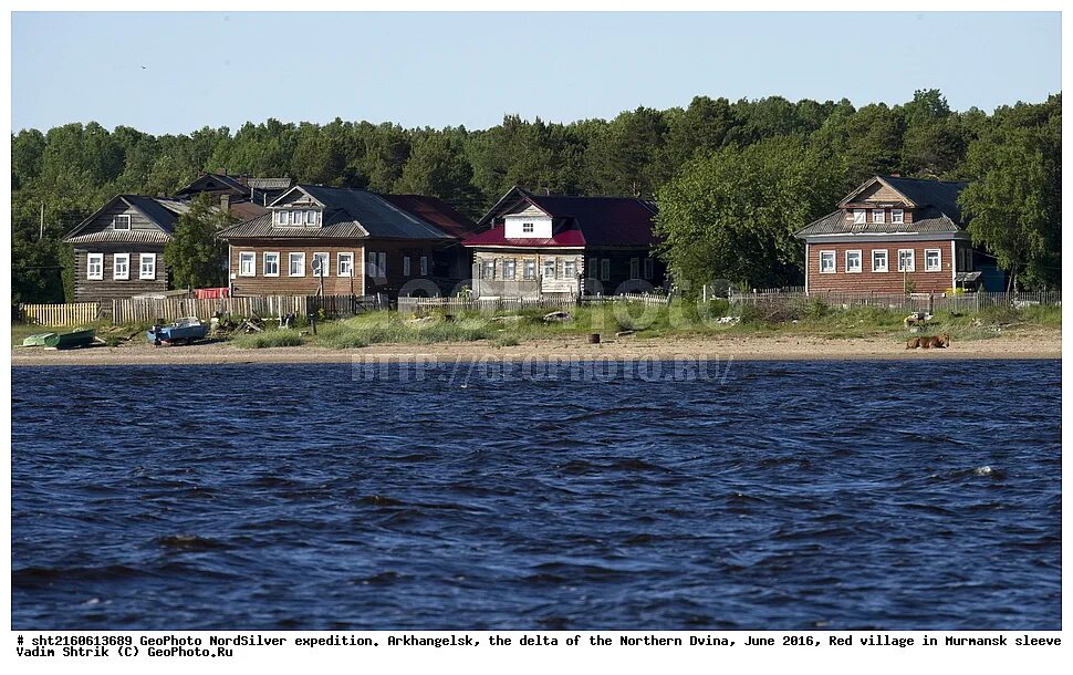красная ляга каргопольский район. деревня зиброво михайловская церковь. село красное архангельская область приморский пляж. красная архангельская область. село красное архангельская область приморский район.