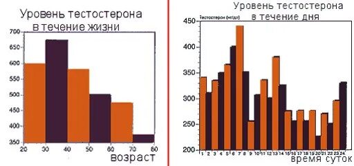 Пик мужчины возраст. Уровень тестостерона в течении суток у женщин. Суточный график выработки тестостерона. График выработки тестостерона у мужчин. Тестостерон в течении дня.