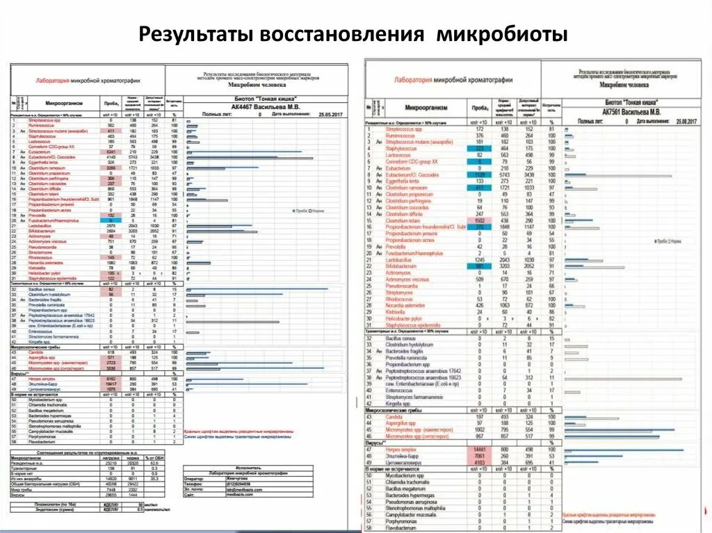 Анализ микробных маркеров. ХМС микробиоты по Осипову. Хромато-масс-спектрометрия по Осипову. Анализ микробиоты по Осипову ХМС. ХМС по Осипову МЕДБАЗИС.