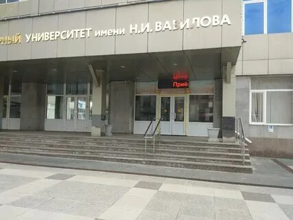 Профи просп имени петра столыпина 9