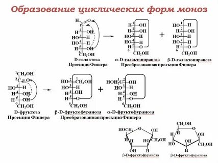 D галактоза