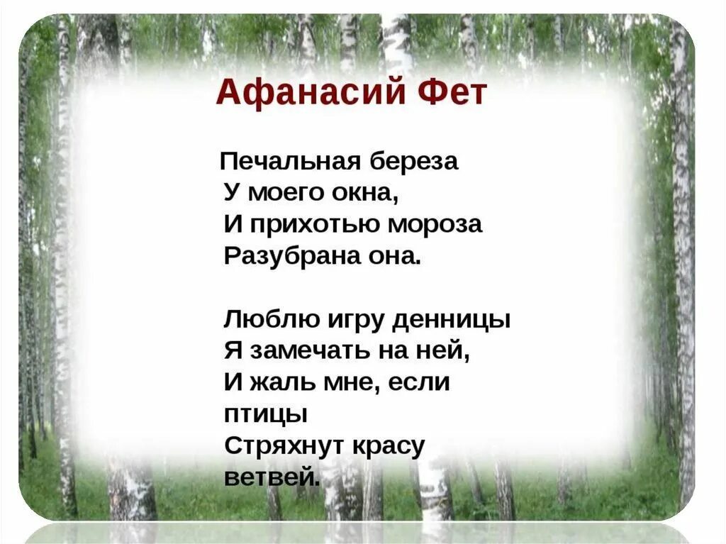 Фет береза. Стихотворения. Фет а.а.. Стихотворение Фета печальная береза.