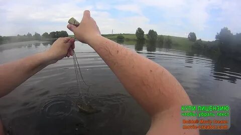 Можно ли ловить рыбу экраном