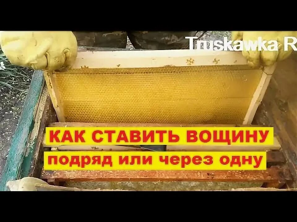 Когда подставлять вощину пчелам. Когда ставить надо магазины пчелам.