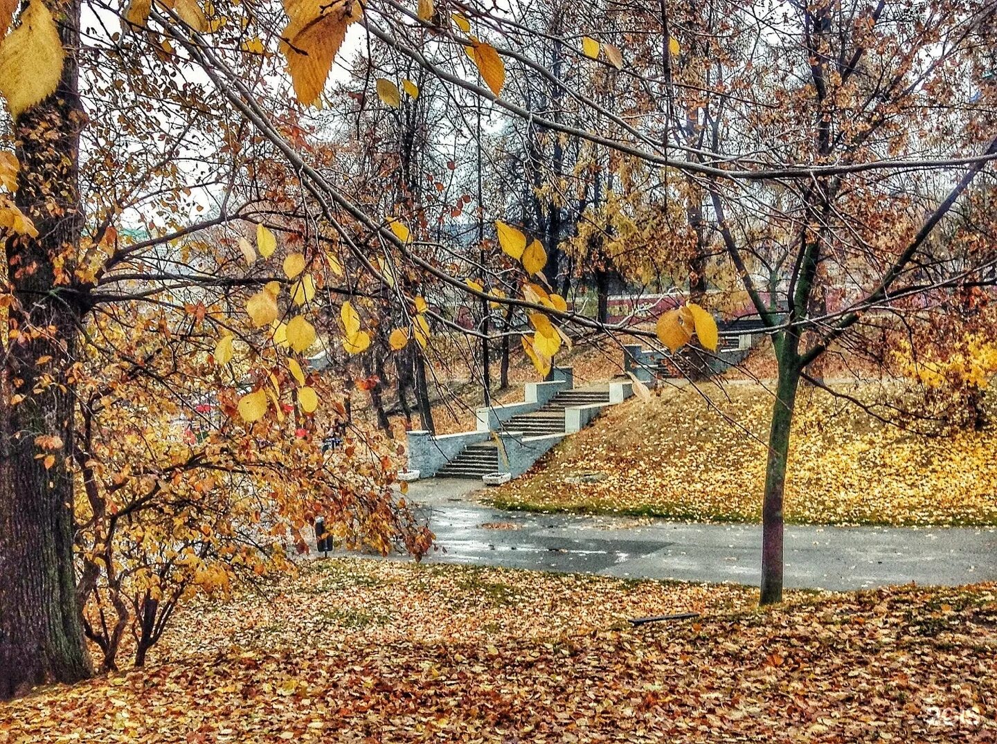 Парка рязань купить. Горсад в Рязани. Лесопарк Рязань осень. Нижний городской парк Рязань. Центральный парк Рязань осень.