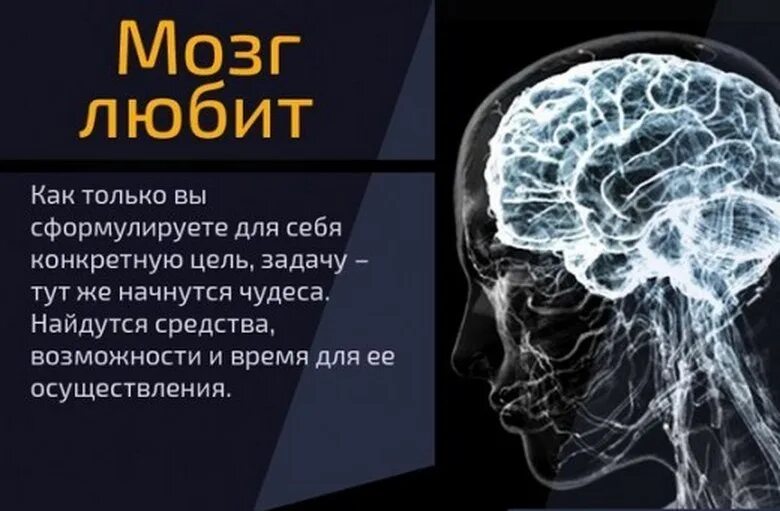 Почему без мозгов. Фразы про мозги. Цитаты про мозги. Цитаты про мозг. Мозг и цель.