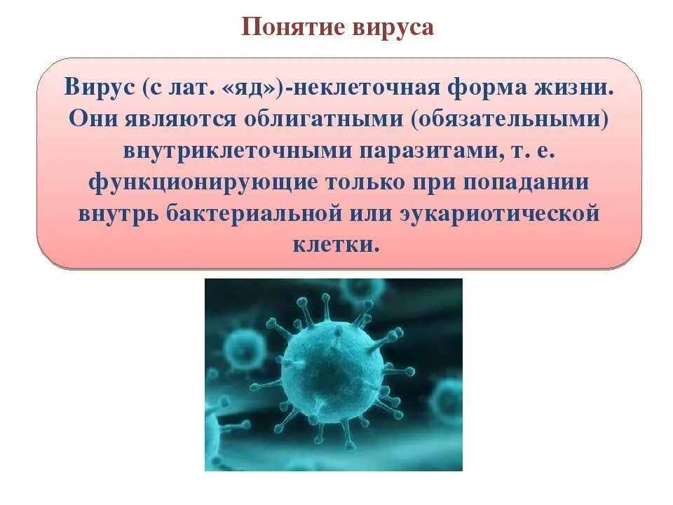 Представители вирусов биология. Вирусы 5 класс биология. Вирусы кратко. Вирусы доклад. Вирусы презентация.