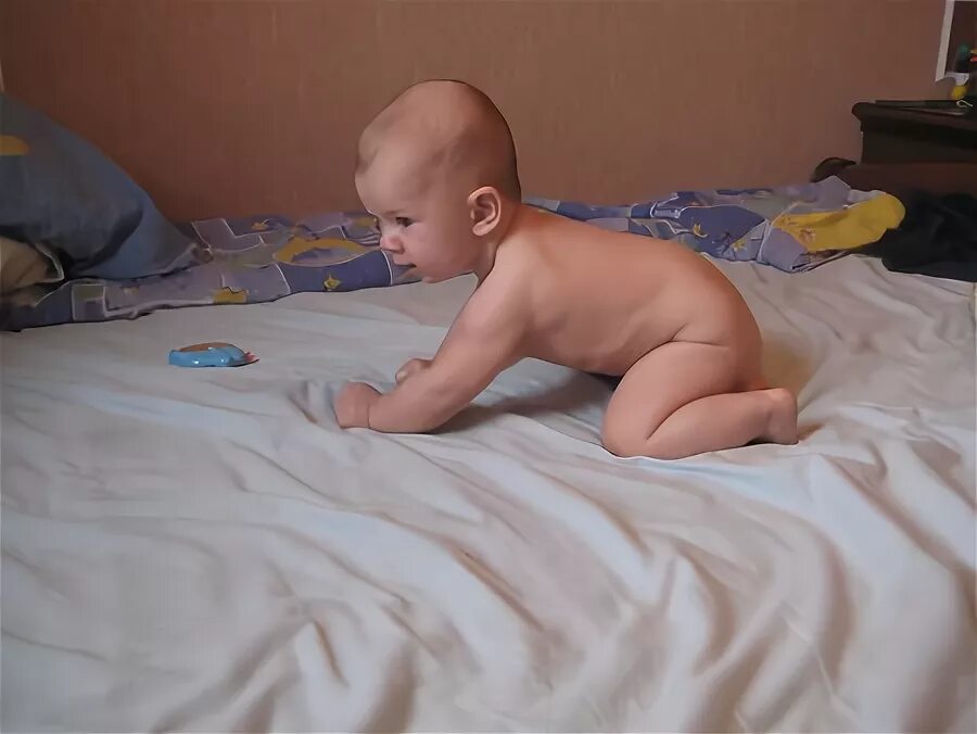Ребенок упал с кровати в 8 месяцев. Ребенок на четвереньках со спины. Круглая спина на четвереньках у грудничка. Малыш голопопик. Младенец на спине.