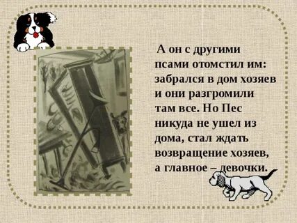 Собака пес кратко