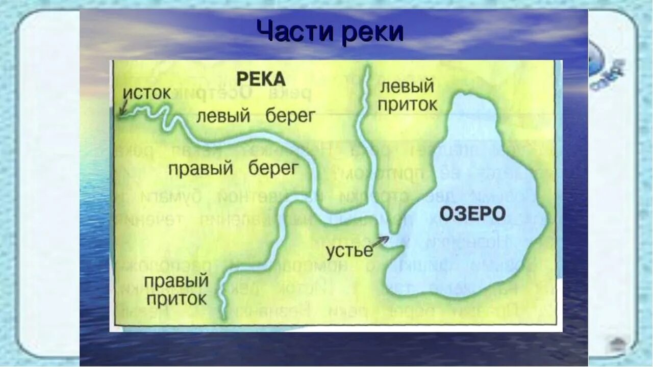 Где начнется 3 часть. Исток приток Устье реки. Устье реки Исток приток окружающий мир. Исток реки Устье реки. Устье приток Исток окружающий мир 2 класс.