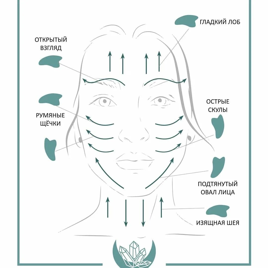 Схема массажа Гуаша для лица скребком. Скребок Гуаша массажные линии на лице. Скребок Гуаша техника массажа. Скребок для массажа лица Гуаша.