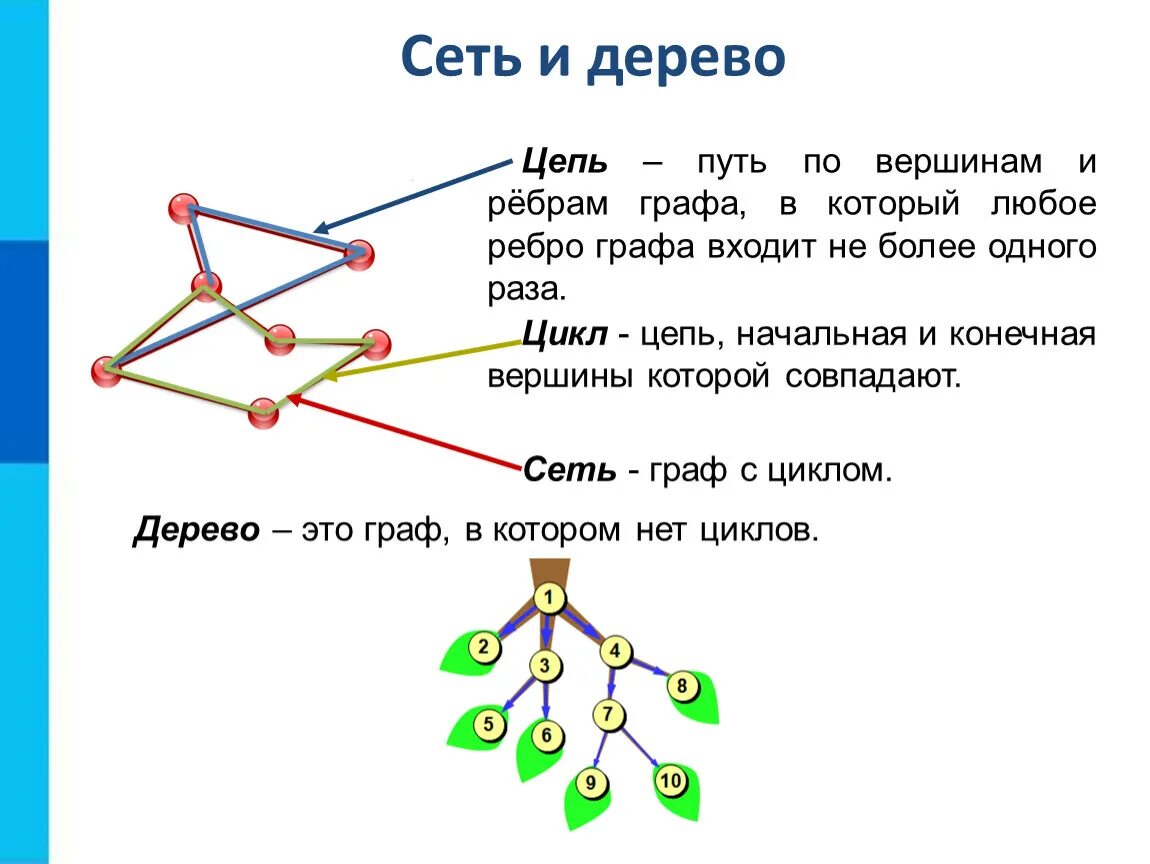 В любом графике количество вершин. Типы графов в информатике 9 класс. Ребра и вершины в графах. Дерево графа.