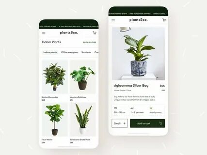 Plant приложение