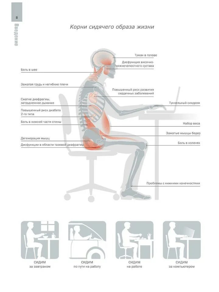 Сидячая работа поясница. Сидячий образ жизни. Упражнения для спины для сидячего образа. Сидячий образ жизни последствия. Упражнение для поясницы сидячий образ жизни.