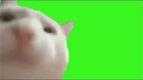 Голова туда сюда
