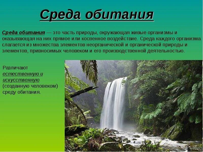 Среда обитания презентация. Среда обитания это часть живой природы. Среда обитания фото для презентации. Среда обитания это часть природы которая окружает живой.