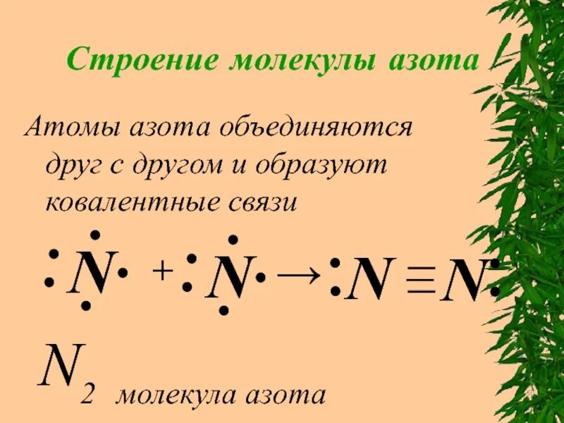 Азот какая связь. Схема образования молекулы азота n+n. Строение атомов и молекул азота. Структурное строение азота. Молекулярную структуру азота и электронную.