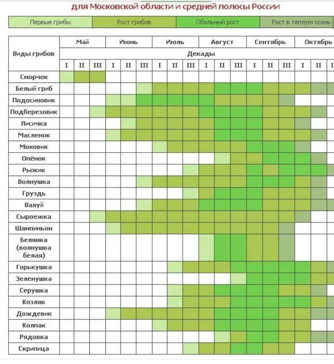Какие выбрать для средней полосы. Грибника календарь грибника 2022. Календарь грибника Подмосковья. Таблица сбора грибов по месяцам. Календарь грибника средней полосы России.