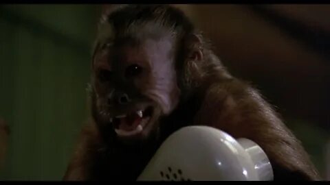 Monkey skins