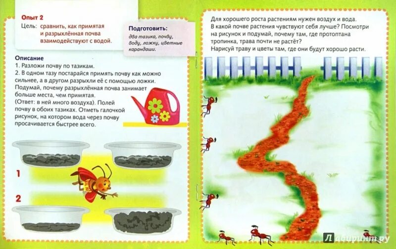 Опыты с природным материалом в детском саду. Экспериментирование с природными материалами. Опыты для дошкольников. Картотека опытов с водой в схемах. Экспериментирование с природным материалом.