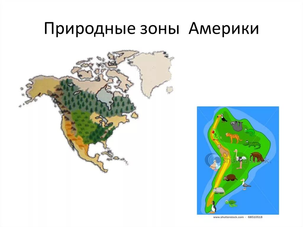 Природные зоны и население северной америки