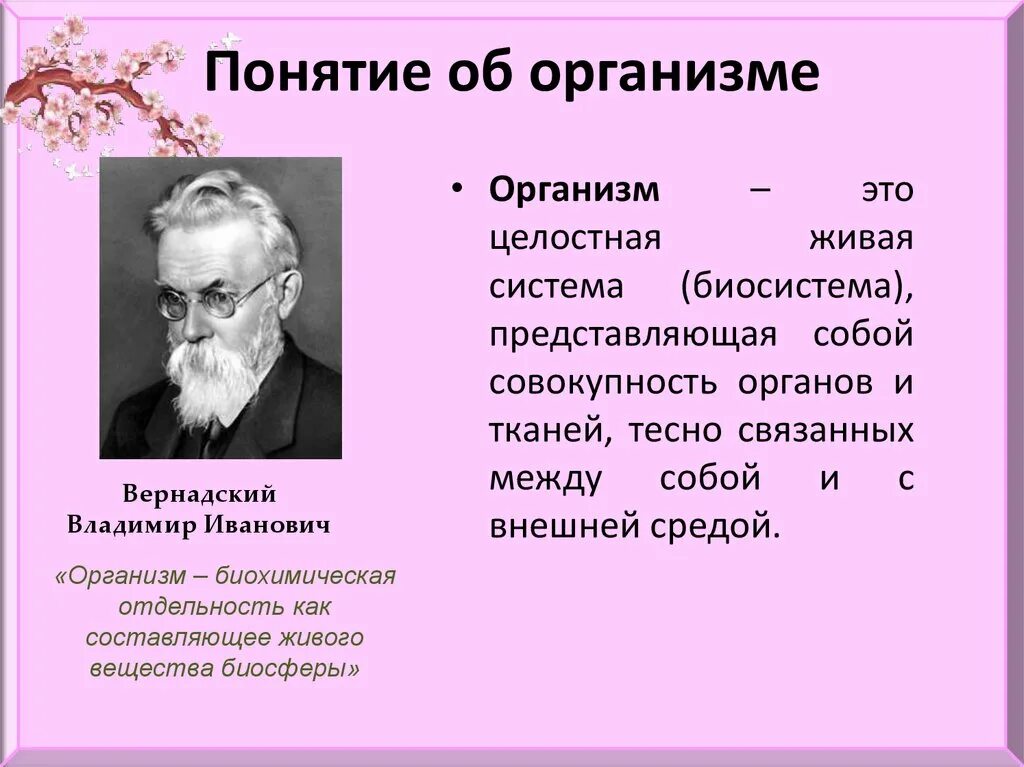 Дать определение живой организм. Организм открытая Живая система биосистема. Организм открытая Живая система биосистема презентация. Организм определение. Понятие об организме.