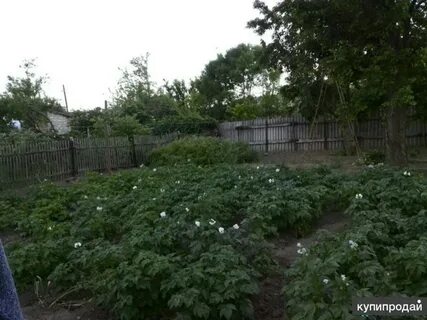 Продам керчь