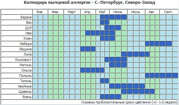 Календарь аллергика цветения растений-аллергенов. Поллиноз периоды цветения. Таблица цветения для аллергиков. Календарь цветения растений. Аллергены сейчас