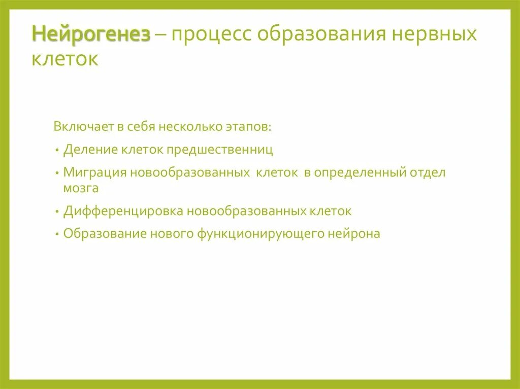 Стимулы воздействуют. Нейрогенез. Процесс образования нервных клеток. Улучшение нейрогенеза. Нейрогенез мозга.