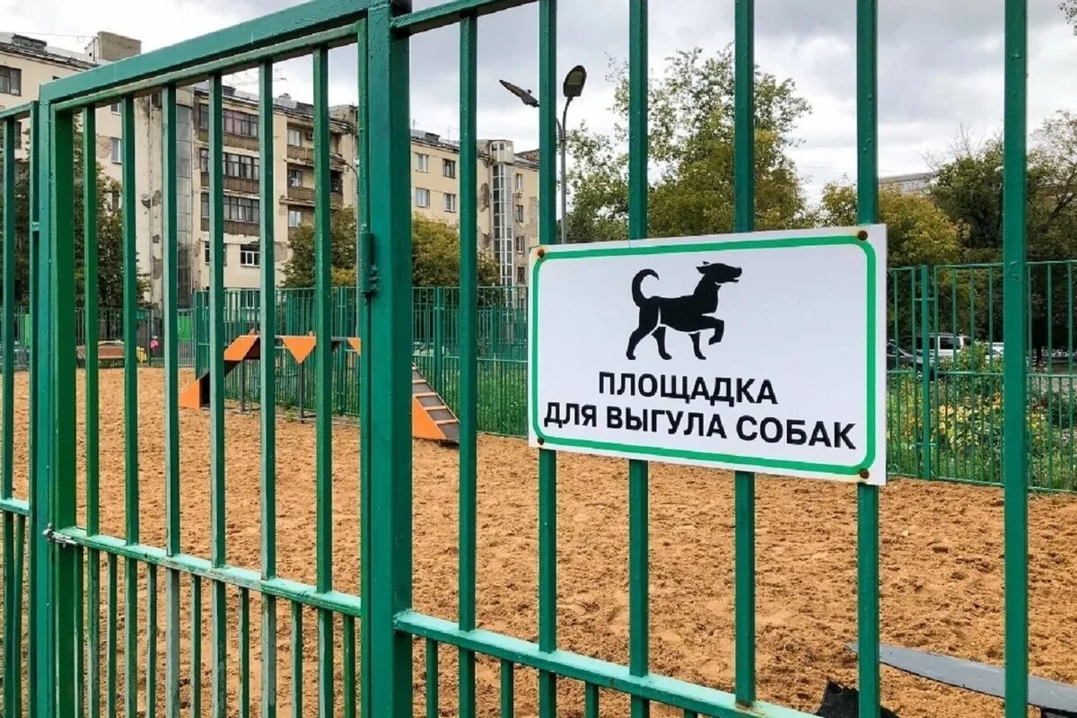 Как выглядит площадка для собак Ограждение площадки для выгула собак из сетки 3D ГИТТЕР купить от производителя