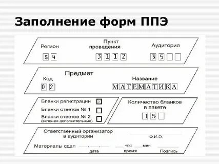 Протокол гиа 2024