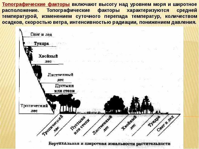 Факторов среды обитания суши. Суммарность факторов среды. Факторы среды высокогорья. Факторы среды для вечнозеленых.