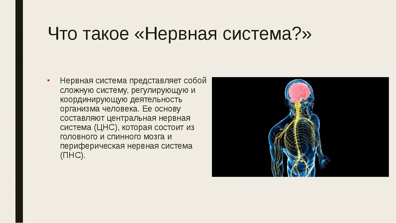 Нарушение нервной системы 8 класс. Нервная система. Заболевания нервной системы. Презентация на тему нервная система. Заболевания нервной системы презентация.