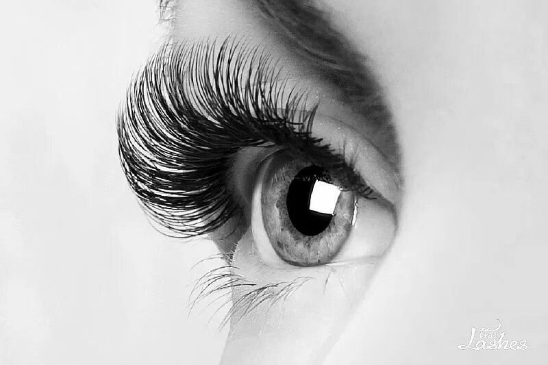 Красивое наращивание ресниц. Наращивание ресниц профиль. Наращивание ресниц классика реклама. Ресницы натуральные. Роскошные ресницы.