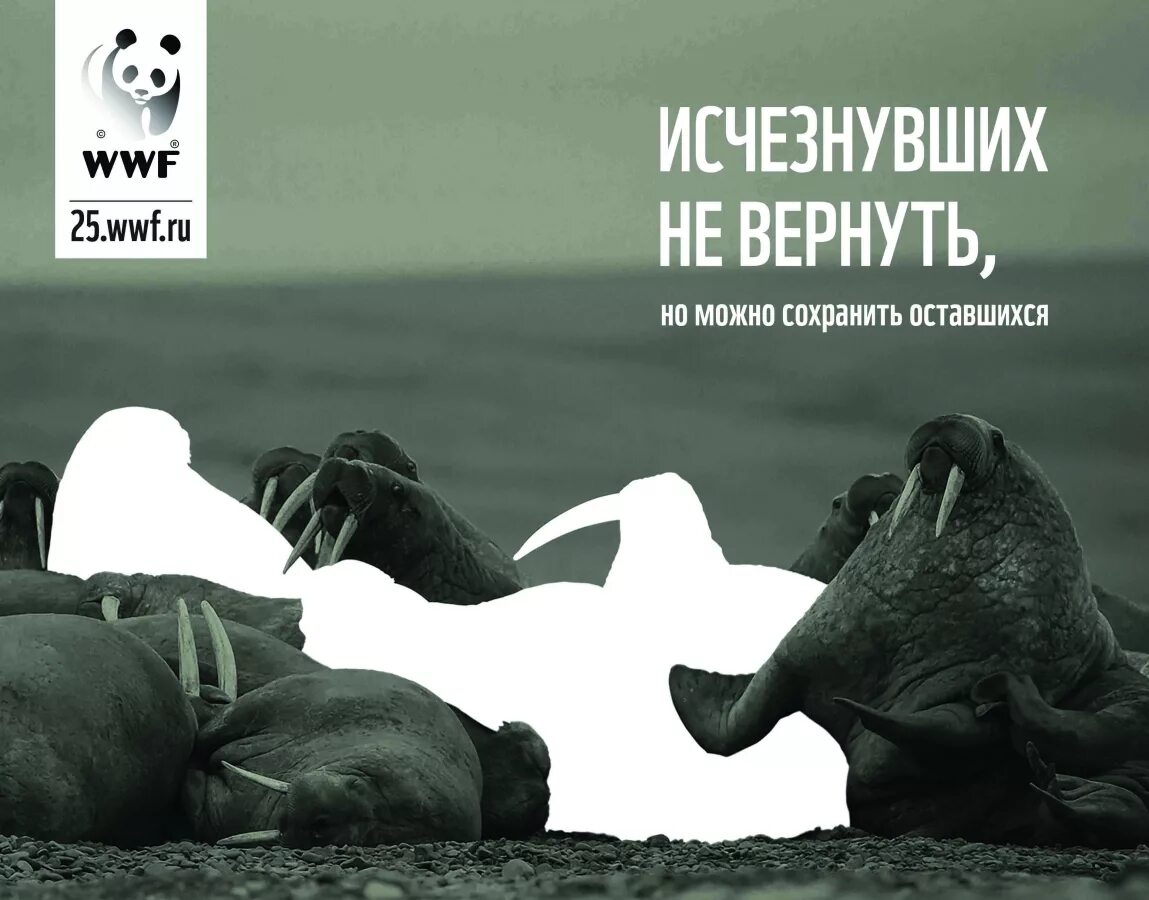 Слоган животное. Всемирный фонд дикой природы WWF реклама. Социальная реклама защита животных. Социальный плакат защита животных. Социальная реклама WWF.