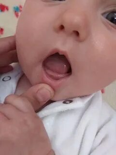 Во сколько месяцев начинают резаться