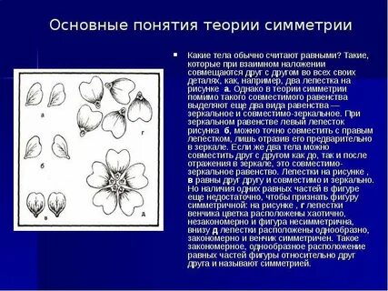 Что называется симметрией когда это понятие возникло