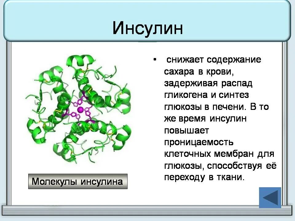 Инсулин что делает. Снижение Глюкозы в крови инсулин. Инсулин повышает или понижает уровень Глюкозы в крови. Инсулин снижает уровень Глюкозы.