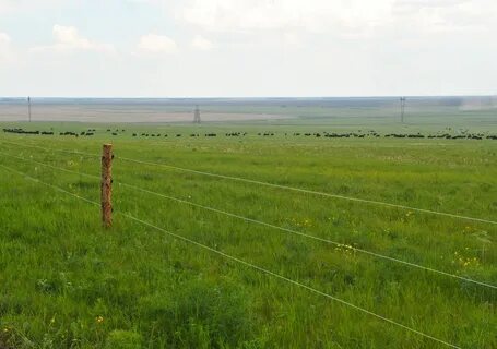 Участки казахстан