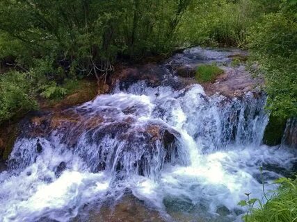 Вода ломоносов
