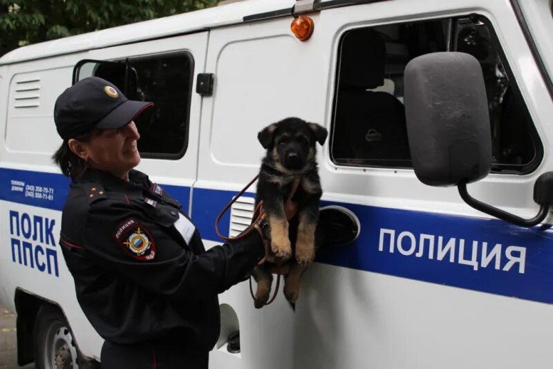 Организация деятельности подразделений патрульно постовой службы полиции. Полиция ППС Екатеринбург. Полицейский Екатеринбург ППСП. Патрульно постовая служба МВД. ППСП МВД России.