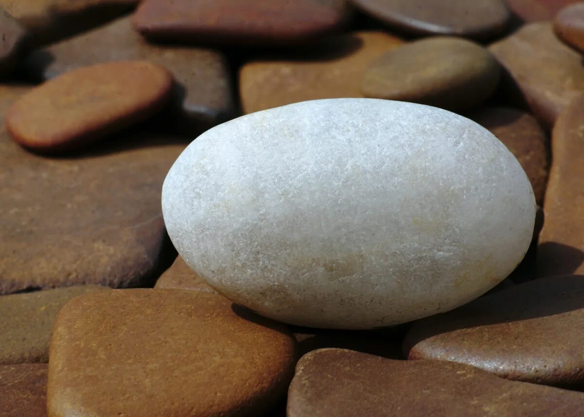 Включи камень 9. Молочный кварц камень. Камни на пляже. Молочный кварцит. Камни для сада кварц.