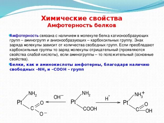 Кислотные белки